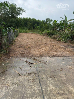 đất cẩm toại tây đường rộng 7m 2 làn oto, 120m2 ngang 5m.