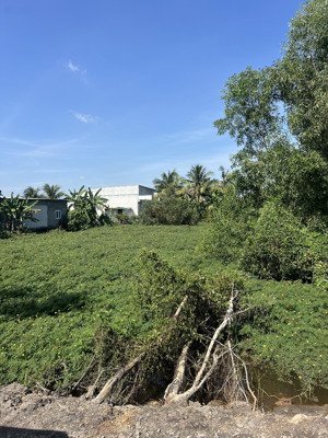 bán 1000 mét đất thổ cư, ngay nút giao mỹ yên, cao tốc bến lúc long thành