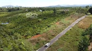 bán đất tại xã lộc an, 1 tỷ, 109.8 m2, giá ưu đãi