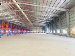 Cho thuê kho xây dựng 4.600m² có PCCC và trạm điện 3 pha, trong khu công nghiệp Bình Minh, lộ Container