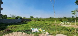 bán đất lực canh xuân canh cơ hội vàng sở hữu đất đẹp cạnh vin cổ loa