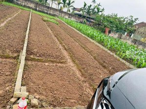 bán đất tại thôn bãi sậy 2 xã triệu việt vương, hưng yên, 35 triệu / m2, 128.6 m2, giá tốt đẹp