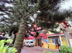 chính chủ cho thuê nhà đất đang kinh doanh