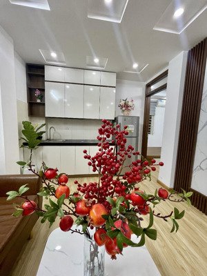 bán cc mini 2pn, 1wc, 50m2, giá siêu hời 2,2 tỷ tại khương đình, thanh xuân, hà nội