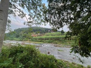 chính chủ gửiii bán lô đất gần 4000m2 bám suối tại cao phong hoà bình