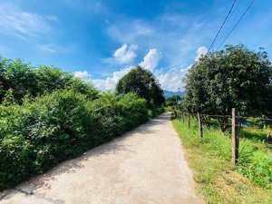 siêu rẻ chỉ 580tr lô đất qh 2 mt đường 30m sổ sẵn thổ cư, gần kcn suối dầu, ql1a và dự án golf vin.