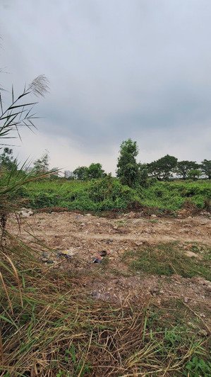 chủ cần bán đất dự án khu thương mại dịch vụ. và nhà ở