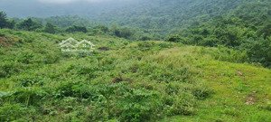 diện tích lớn mặt đường nhựa tại hoà lạc