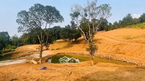 siêu phẩm nghỉ dưỡng giá chỉ 2500k/m tại lương sơn. hòa bình