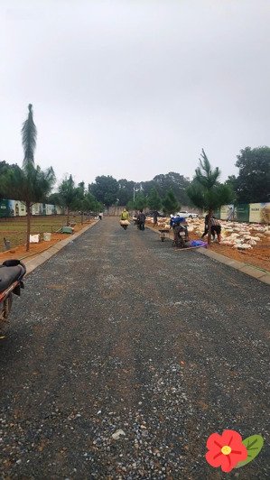 bán đất hòa lạc, đồng trạng cổ đông giá rẻ