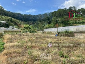 đất thổ cư 2 mặt tiền triệu việt vương đà lạt view thông