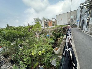 bán đất tại quận 7 (đất trồng cây lâu năm) phú mỹ, quận 7