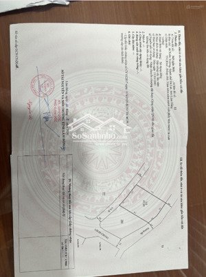 chính chủ bán đất xuân trường - đà lạt, 558m2, đang lên thổ cư, dân cư đông đúc.