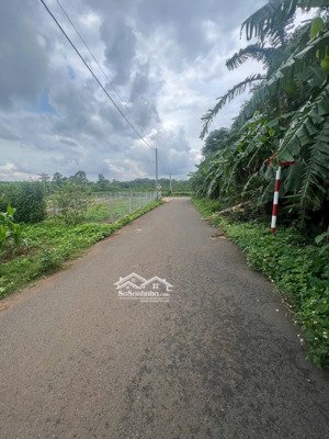 chủ cần bán lô đất tâm huyết để giải quyết việc 5400m2 có sẵn 160m2 thổ cư đường nhựa đất đỏ bazan