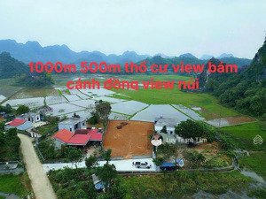 chính chủ gửi e tâm cần bán mảnh đất 980m có 500m đất ở view bám cánh đồng, view cánh đồng