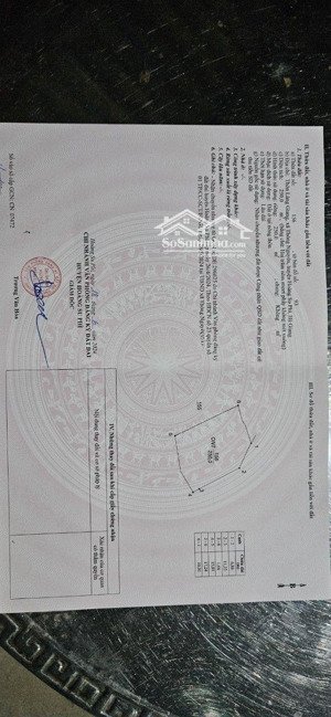 siêu quỹ đất nghỉ dưỡng tại thông nguyên "thủ phủ" du lịch hoàng su phì