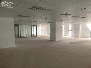 Cho thuê văn phòng 100 m2 - 800 m2 tại 6th Element