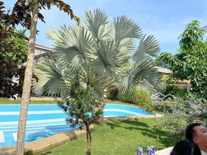 chủ giảm 10 tỷ từ 35 tỷ xuống còn 25 tỷ bán gấp trước tết biệt thự 1000m2 mặt tiền đường phú lợi