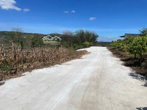 bán đất tại đinh lạc, di linh, lâm đồng, 440 triệu, 380m mặt tiền. view đẹp chỉ với 440tr/1000m2