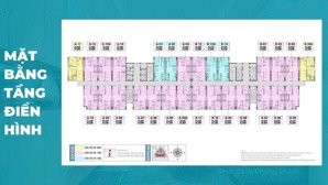 chung cư hà nội chỉ hơn 40tr/m2 chung cư phenikaa tower gần metro city