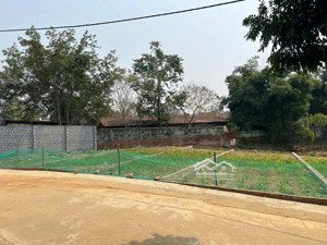 hàng hiếm, nhỉnh 2 tỷ-mảnh đất hòa lạc, đầu tư giữ tiền hoặc xây phòng trọ cho thuê