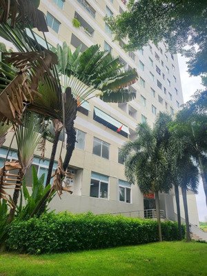 bán chung cư belleza p. tân mỹ q7 dt 47m 1pn 1wc sổ hồng riêng giá tốt