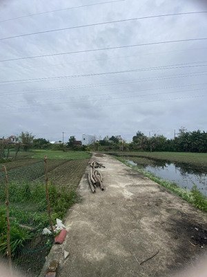 tìm chủ mới gấp lô đất lớn đẹp 718m2 thuộc cẩm sa, điện nam bắc