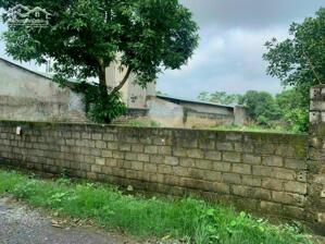  4,6 TỶ – LÔ GÓC 534m²/234m TC – VĂN SƠN, HOÀNG VĂN THỤ, CHƯƠNG MỸ