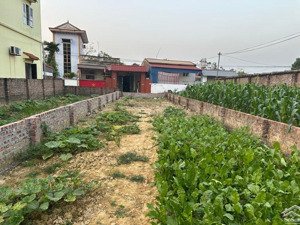 cc cần bán đất thái lai kim anh, 120m, ngõ liên thôn, ô tô tránh giá nhỏ 3 tỷ