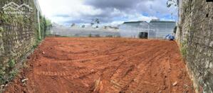 SIÊU PHẨM ĐẤT ĐẸP TẠI P8 – TP. ĐÀ LẠT – LÂM ĐỒNG 