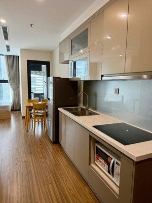 cho thuê studio cao cấp full nội thất dọn vào ở ngay