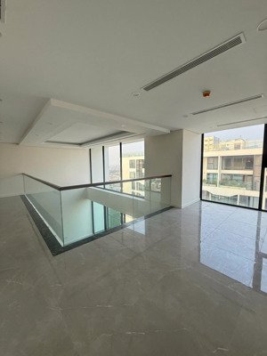 (hàng hiếm)bán siêu phẩm skyvilla sunshine green iconic 4pn 252m2 nguyên bản giá 32tỷ 