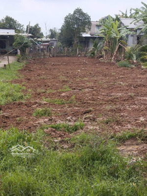 bán đất tại xã đại hòa, 260 triệu, 280 m2, mặt tiền 6m, ngõ 3m