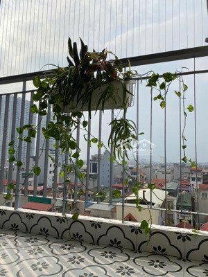 chính chủ bán căn góc 3 ngủ 2 wc | sửa mới đẹp thoáng sáng