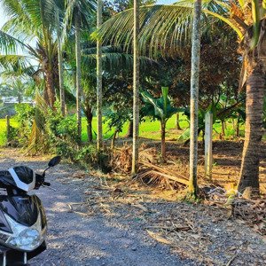 chính chủ gửi bán 233.5m2, giá chỉ 1tỷ990, rẻ nhất xã diên toàn cũ, 80 thổ cư