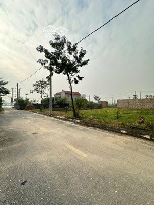 . hàng hiếm giá tốt nhất khu! lô đất gần 91m tại khu đấu giá trại chăn nuôi tân ước