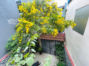 gần mt nguyền tư giản - tương lai mt sau thành mt ngay vòng xoay hẻm 203 vip huỳnh văn nghệ -