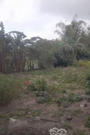 bán nhà riêng và đất nhà tại thôn an hà, xã nam cửa việt