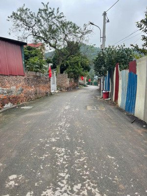 bán lô trục chính vân trại tp bắc ninh vị trí vip đáng để đầu tư giá 3,x tỷ