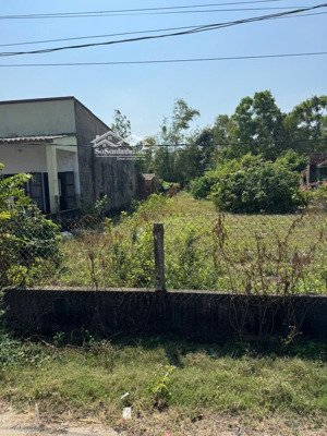 bán đất tại xã tam tiến, 800 triệu, 225 m2, đất ở 100m2, mặt tiền đường nhựa 10m