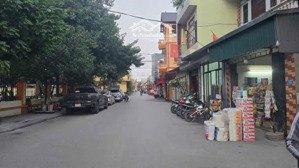 bán đất hội phụ đông hội đông anh - cạnh triển lãm quốc gia vin cổ loa tiện ích k thiếu gì