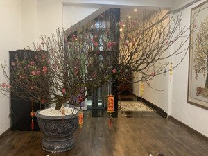 bán nhà mặt phố phó đức chính,hướng nhìn ra hổ tây,trúc bạch .diện tích 75 m2,mt 4,5m giá 52,8 tỷ