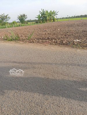 đất mặt tiền lộ nhựa 420triệu/1lô dt 5x30mv 100mv thổ cư