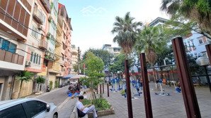 nhà phân lô kd víp - ô tô tránh - view vườn hoa phố nguyễn thị định, hoàng ngân - cầu giấy 66m2 5t