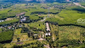 bán lô đất trồng cây lâu năm 10.000m cho quý khách làm trang trại hoặc farm