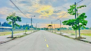 đường 10.5 thông biển sát sông đẹp nhất dự án giá đầu tư