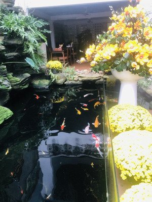 chủ hạ giá mạnh bán nhanh lô nại nam 8 sát tòa 69 tầng, chỉ 19,990 tỷ có ngay dt 118m2 ngang 6m