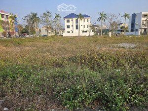 bán bt 300m2 tại thị trấn nga sơn, 35 triệu vnd