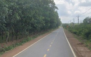 bán đất tại đt 757, huyện hớn quản, 61 tỷ, 40635 m2, giá ưu đãi