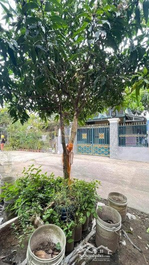 bán đất sổ hồng riêng, 7x17m, giá 2tỷ3